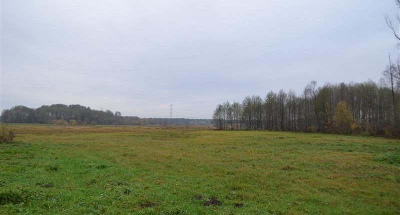 Działka dla inwestora, Nadbiel.