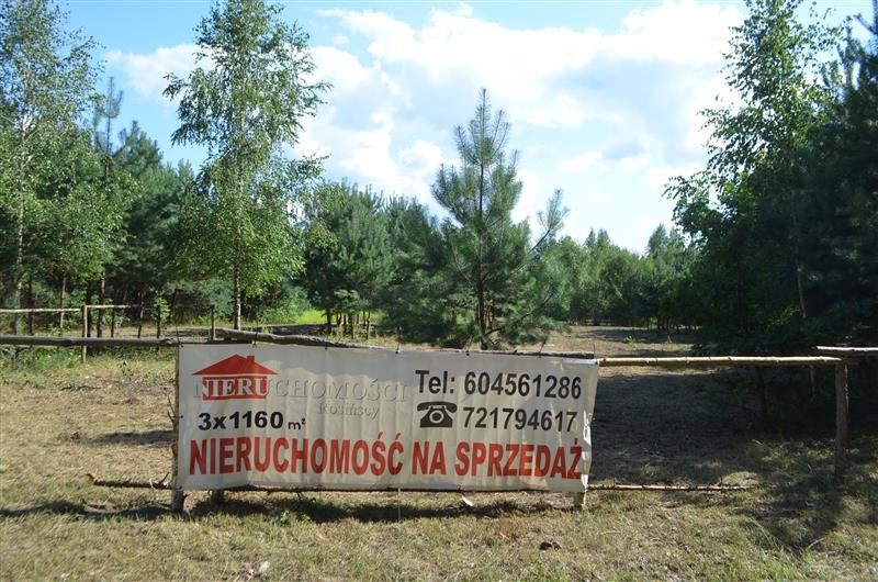 Działka w Jarzębiej-Łące 3000m2