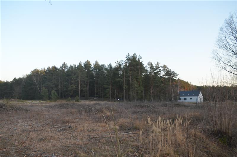 Działka w Boruczy 2495m2