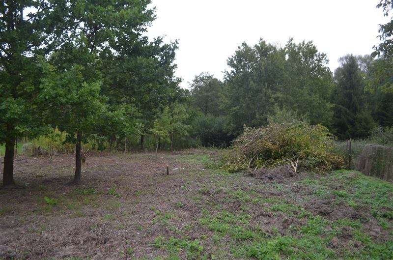 Działka w Celestynowie 4200m2