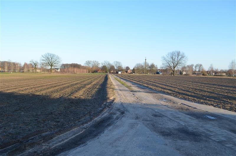 Działka w Rżyskach 1000m2