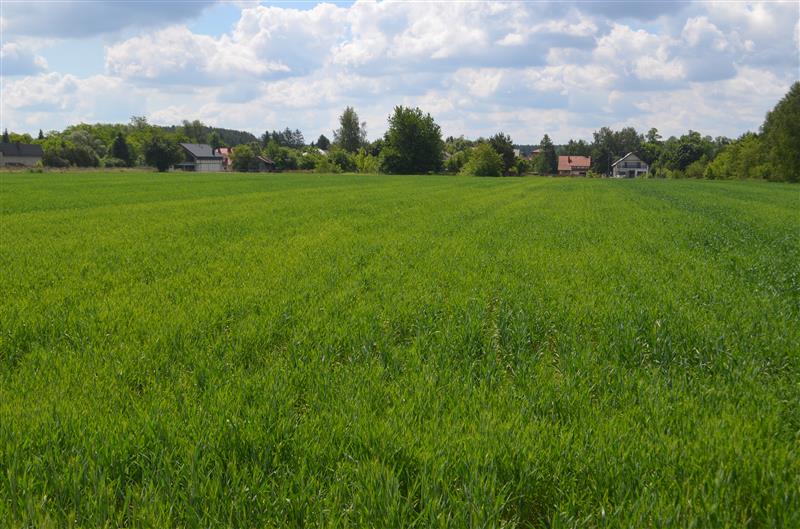 Działka obok S8 Ciemne 3200m2