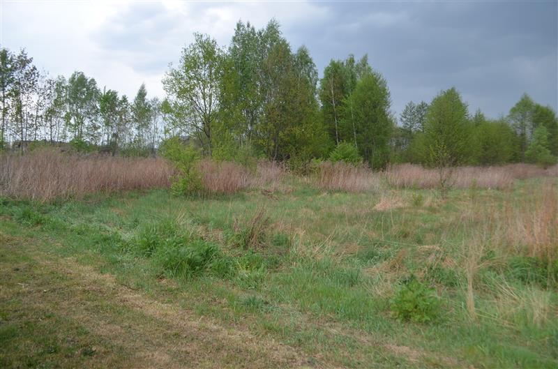 Działka w Dobczynie 1911m2